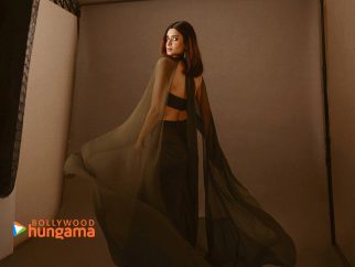 Celebrity wallpaper of Diana Penty