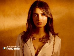 Celebrity wallpaper of Diana Penty