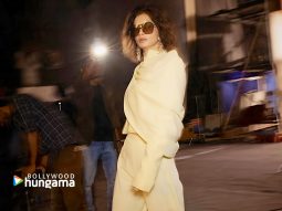 Celebrity wallpaper of Diana Penty