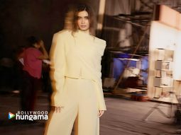 Celebrity wallpaper of Diana Penty