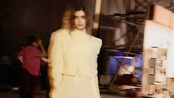 Celebrity wallpaper of Diana Penty