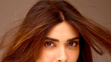 Celeb Wallpapers Of Diana Penty