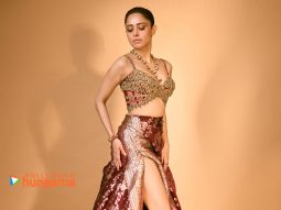 Celeb Wallpapers Of Nushrratt Bharuccha