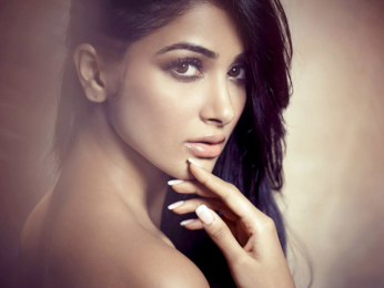 Celebrity Wallpaper Of Pooja Hegde