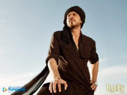 Movie Wallpapers Of The Movie Raees