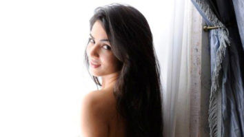 Celeb Wallpapers Of Sonal Chauhan