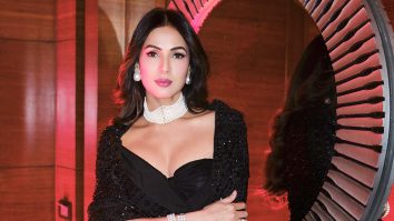 Celebrity wallpaper of Sonal Chauhan