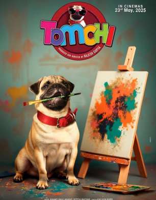 Tomchi