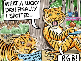 Bollywood Toons: Big B becomes tiger-ambassador