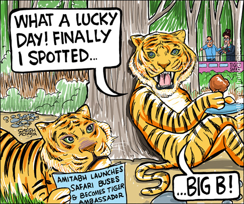 Bollywood Toons: Big B becomes tiger-ambassador