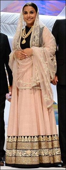 cannes diaries 2013 day 1 bollywood actresses on the red carpet 3