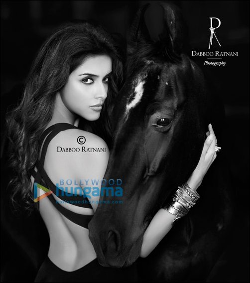 dabboo ratnanis 2013 calendar magic part 2 6