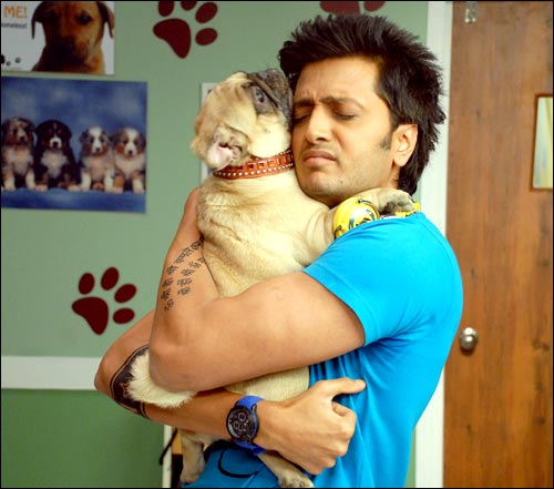 13 things that dogs only in hindi films can do 6