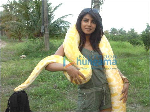 check out priyanka chopra shooting for khatron ke khiladi 3 in brazil 2