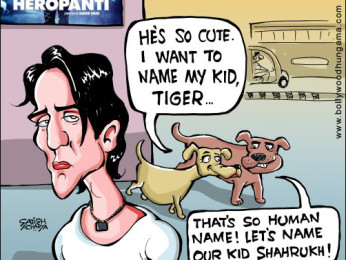 Bollywood Toons: Tiger Vs Shah Rukh Bollywood Toons: Tiger Vs Shah Rukh