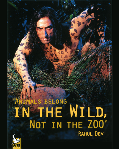 jungle main mangal jungle main mangal
