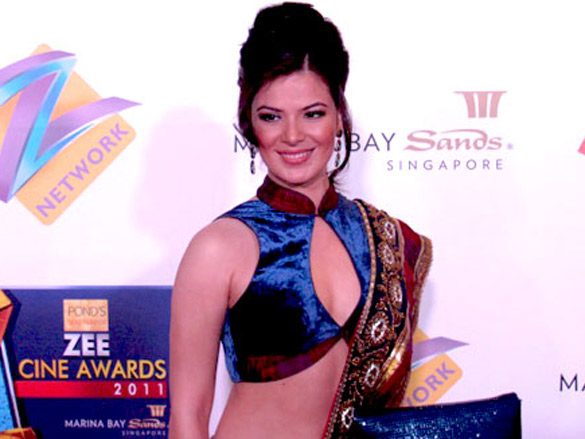 zee cine awards 2011 12