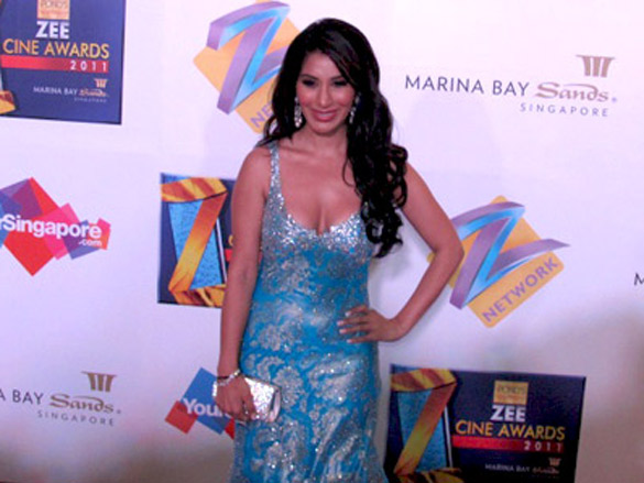 zee cine awards 2011 27