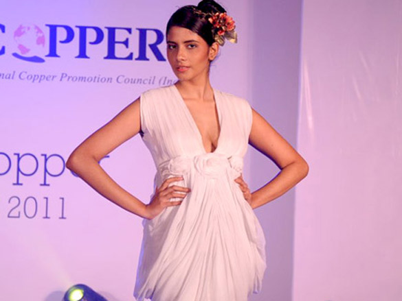 top models walk for iiid copper award 2011 6
