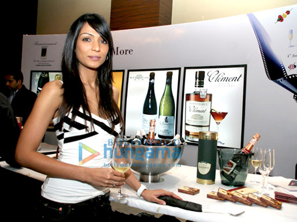 vijay mallya with the models at the sopexa french wine fest 4