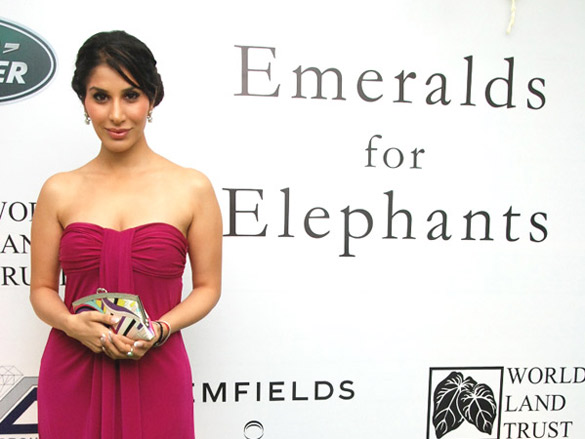 celebs at the emeralds for elephants collection auction event 3