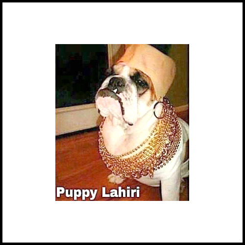 Check out: Rishi Kapoor and Arbaaz Khan share picture of Puppy Lahiri