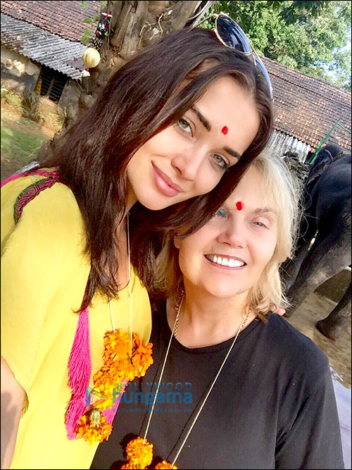 Check out: Amy Jackson celebrates Diwali at the elephant rehabilitation center in Kerala