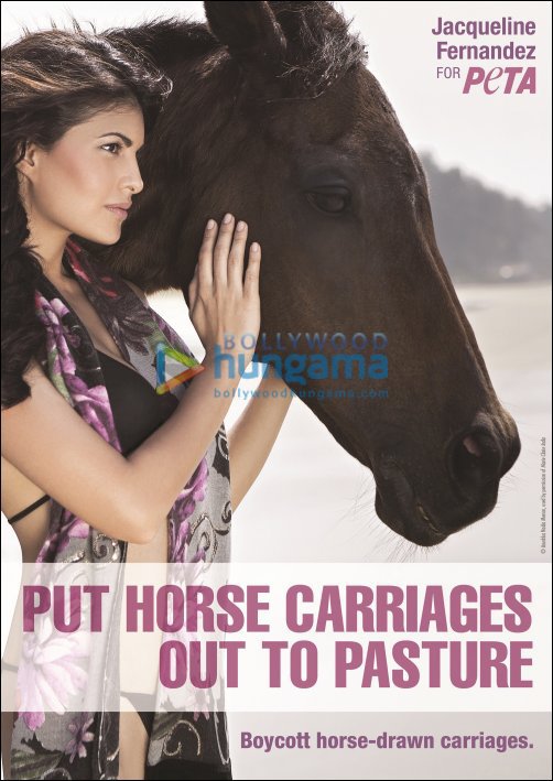 Check Out: Jacqueline boycotts horse carriages in new PETA ad