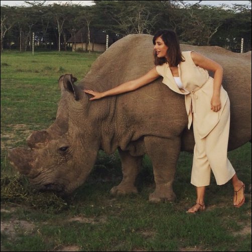 Check out: Nargis Fakhri urges to save rhinoceros