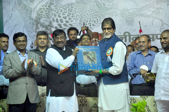 amitabh bachchan appointed as maharashtras tiger ambassador 5