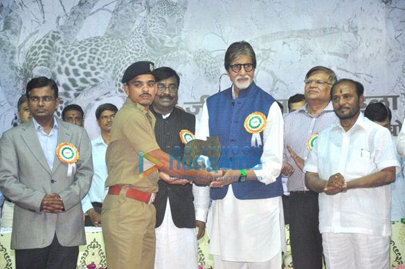 amitabh bachchan appointed as maharashtras tiger ambassador 6