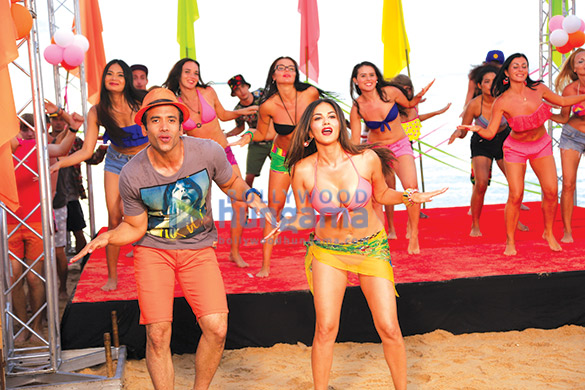mastizaade 241