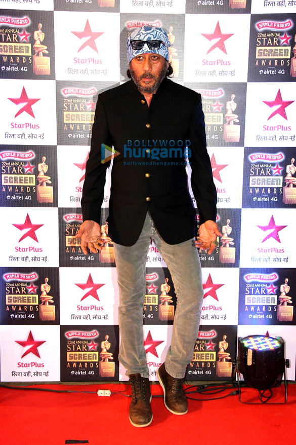 celebs grace the 22nd annual star screen awards 2015 53