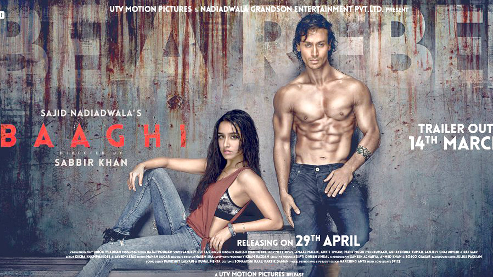 Baaghi Baaghi