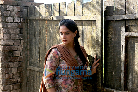 sarbjit 48
