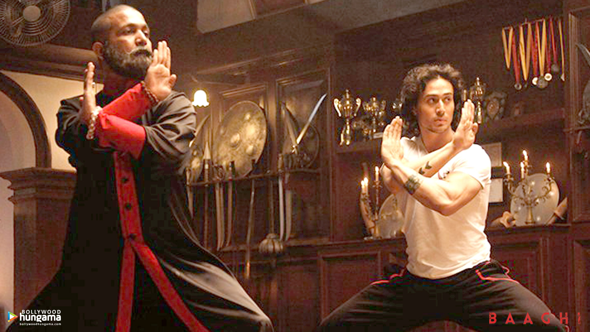 Baaghi Baaghi