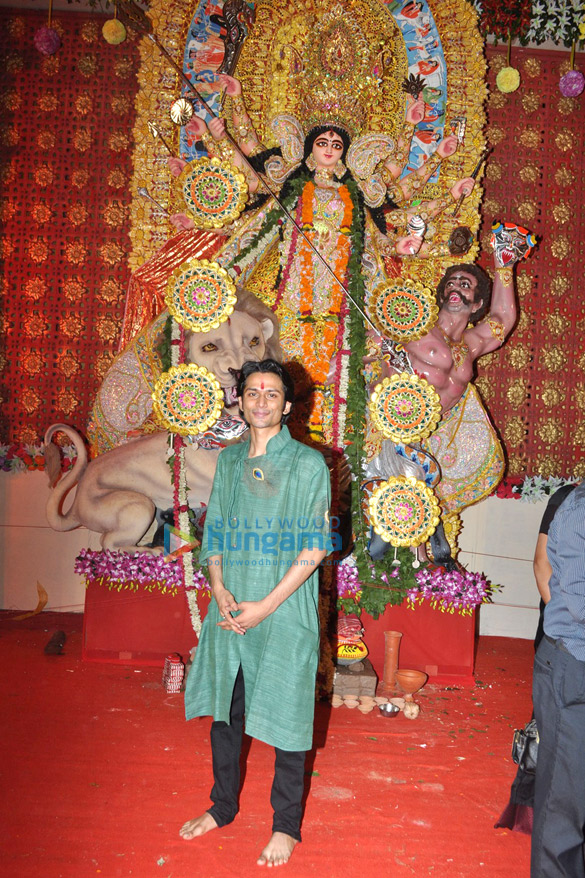 fiery tiger productions sarbojanin durga puja 11