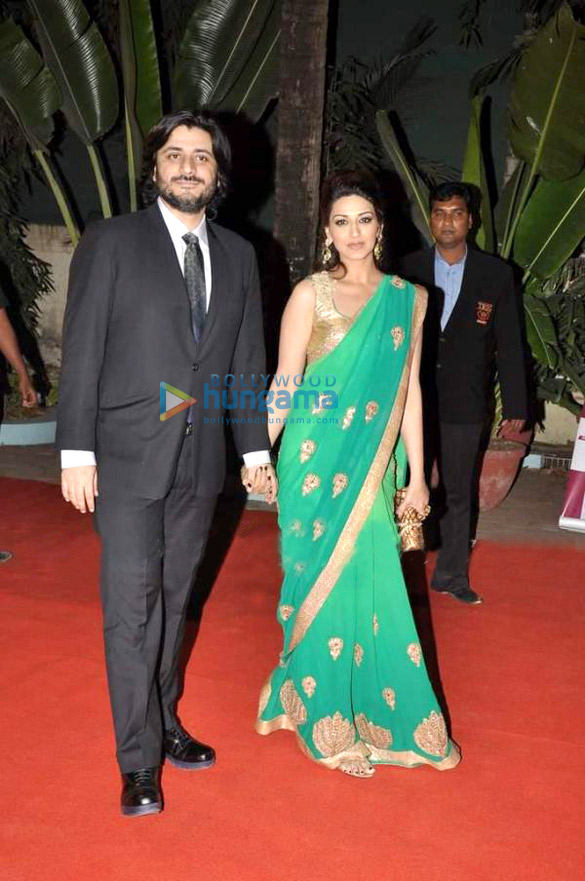 zee cine awards 2013 3