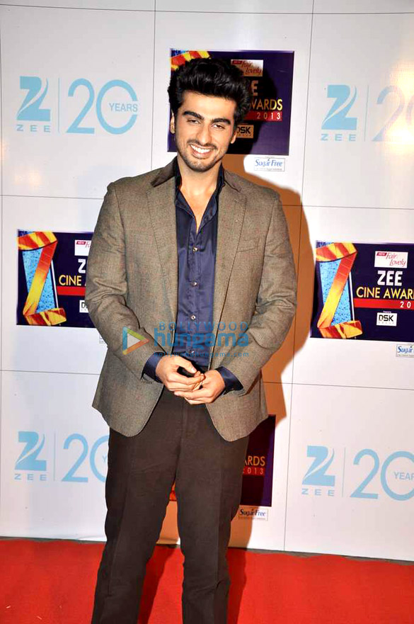 zee cine awards 2013 34
