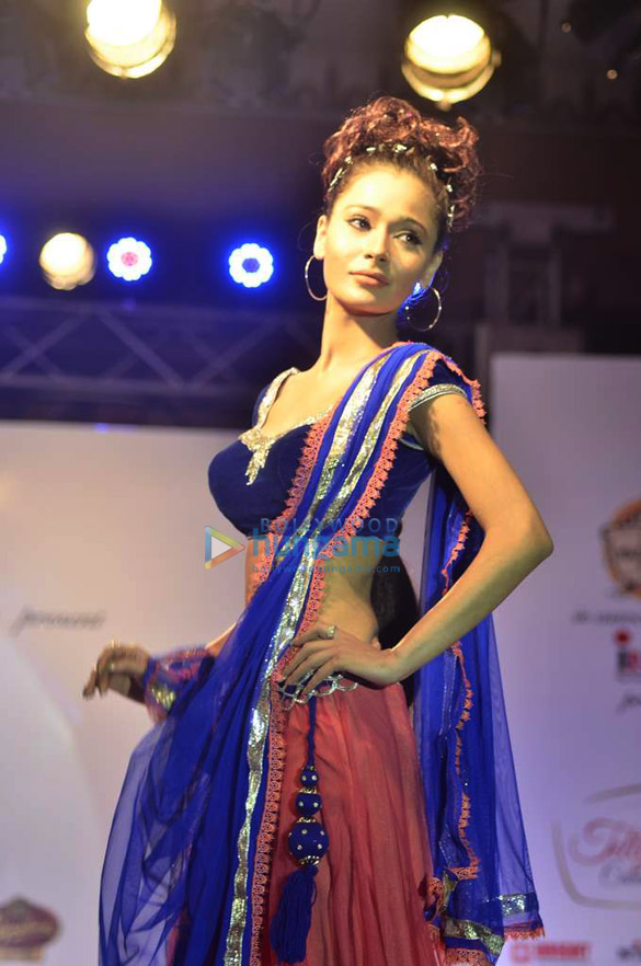 launch of telly calendar 2013 3