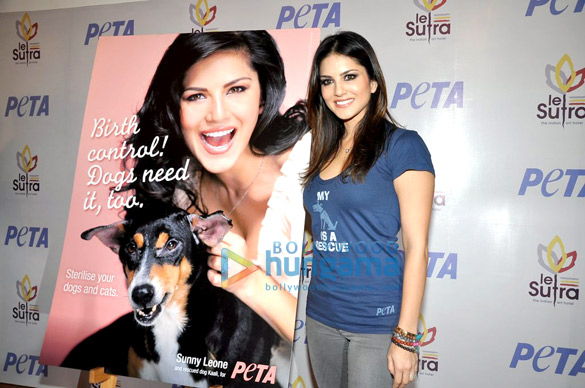 sunny leone launches peta adopt a stray dog campaign 2