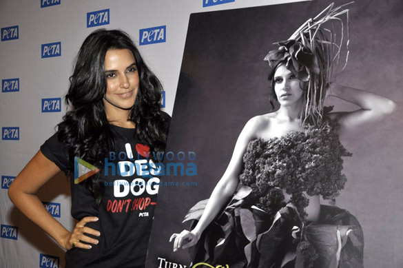 neha dhupia endorses petas latest campaign 3