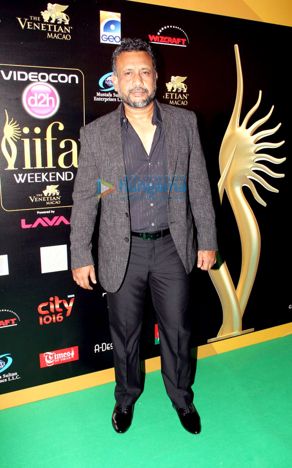 green carpet of iifa awards 2013 54