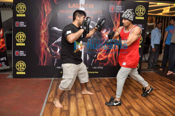 shazahn prateik babbar at gold gyms mixed martial arts 3