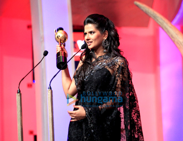 saifta awards 2013 6