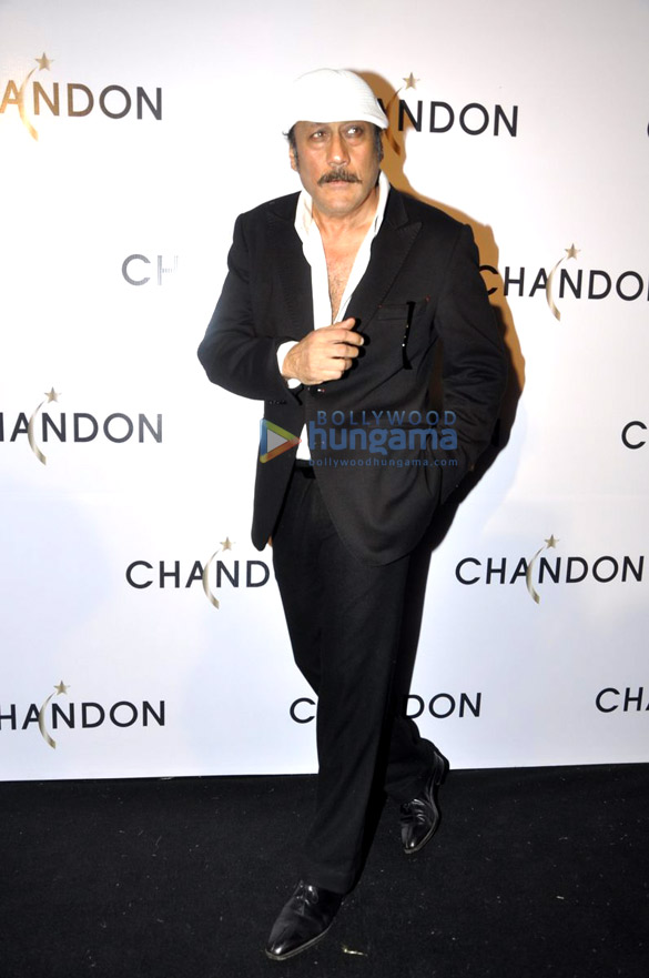 launch of sparkling wine chandon 11