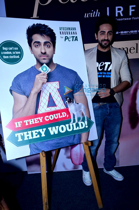 ayushmann khurrana endorses peta campaign for dogs 3