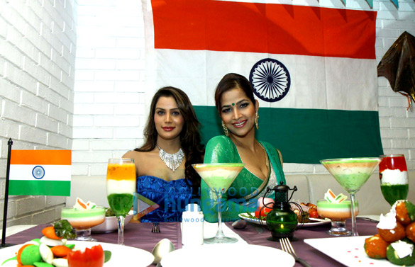 republic day celebration with punjab food festival 11
