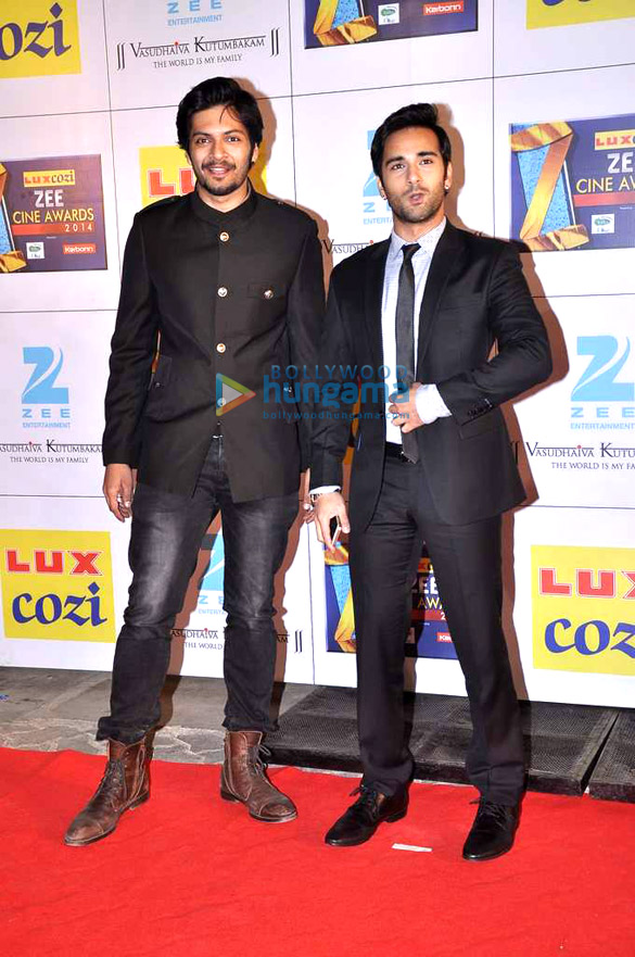 celebs grace the zee cine awards 2014 red carpet 34