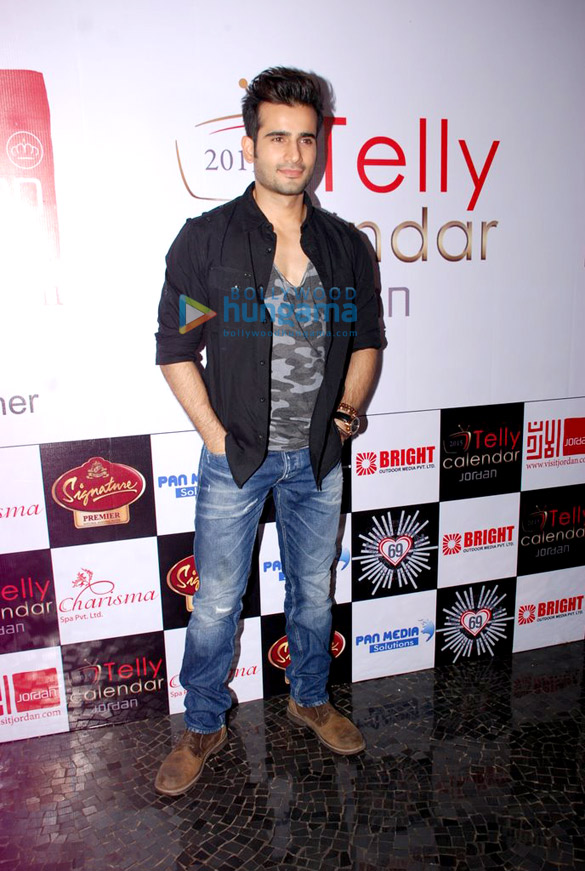 launch of telly house calendar 14